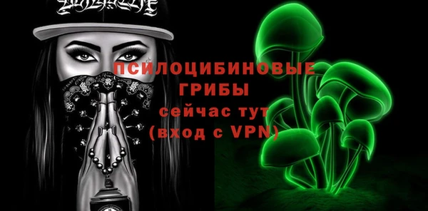индика Армянск