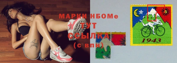 индика Армянск