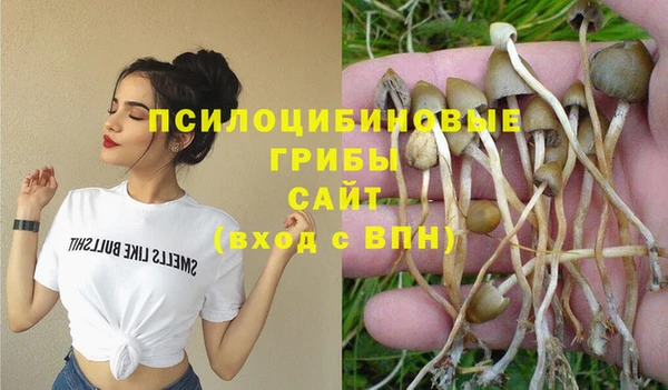 индика Армянск