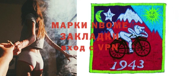 твердый Заводоуковск