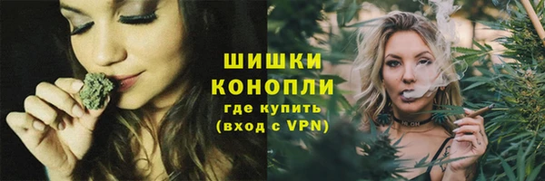твердый Заводоуковск