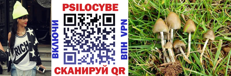 где купить   Советск  Псилоцибиновые грибы мухоморы 